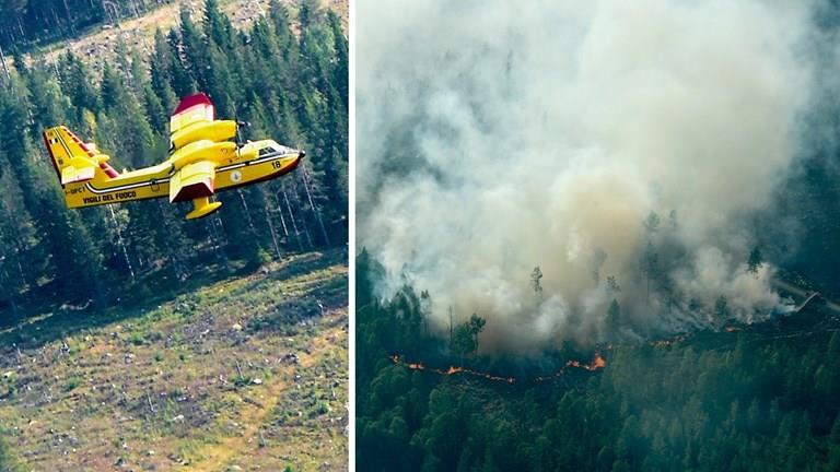 Flygresurser Internationellt stöd Brandbekämpningsflyg från Italien, Frankrike och Portugal.