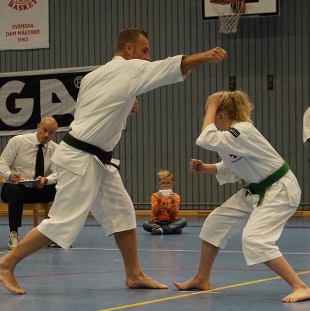 Teknisk kommitté Traditionsenligt arrangerades s.k. Veteranläger såväl vår som höst i Stockholm Södras dojo där kenshi med minst 3 dan