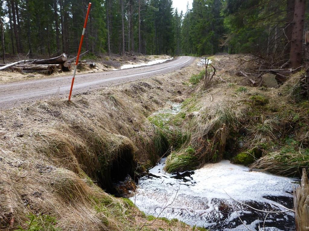 Transport till position 15F/16E kan göras via en befintlig skogsväg av relativt god standard. Vägen måste breddas och förstärkas samt rätas och jämnas ut i kurvor och krön.