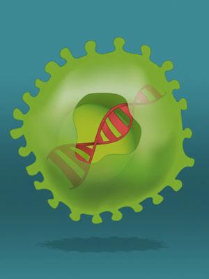 CombiGenes patenterade plattform bygger på användningen av genterapivektorer som levererar en kombination av transgener som kodar för två eller flera av Neuropeptid Y (NPY), NPY-receptorer, galanin,