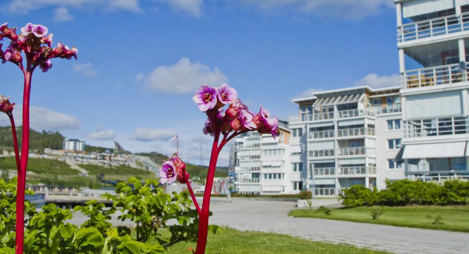 Örnsköldsvik är en stad med havet i centrum och på senare år har Inre hamnen berikats med fler bostäder, restauranger, båtplatser och övrig infrastruktur.