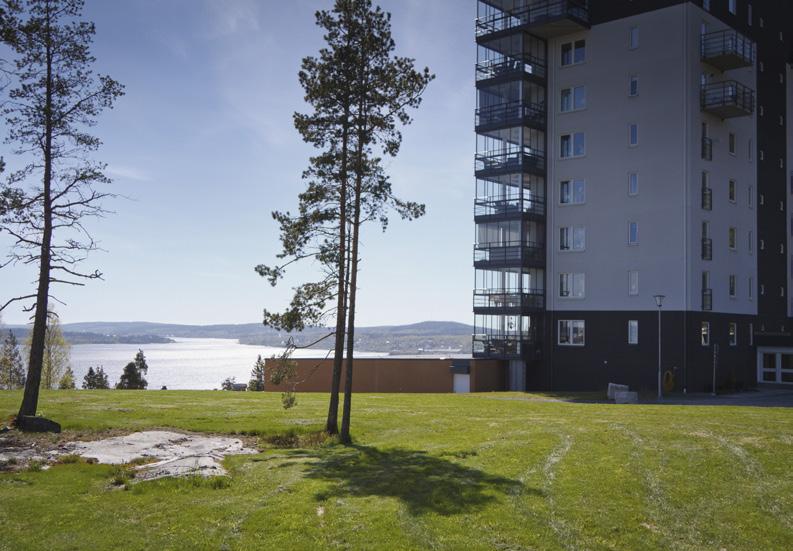 berg, Varvsberget, men samtidigt närhet till Örnsköldsviks centrum.