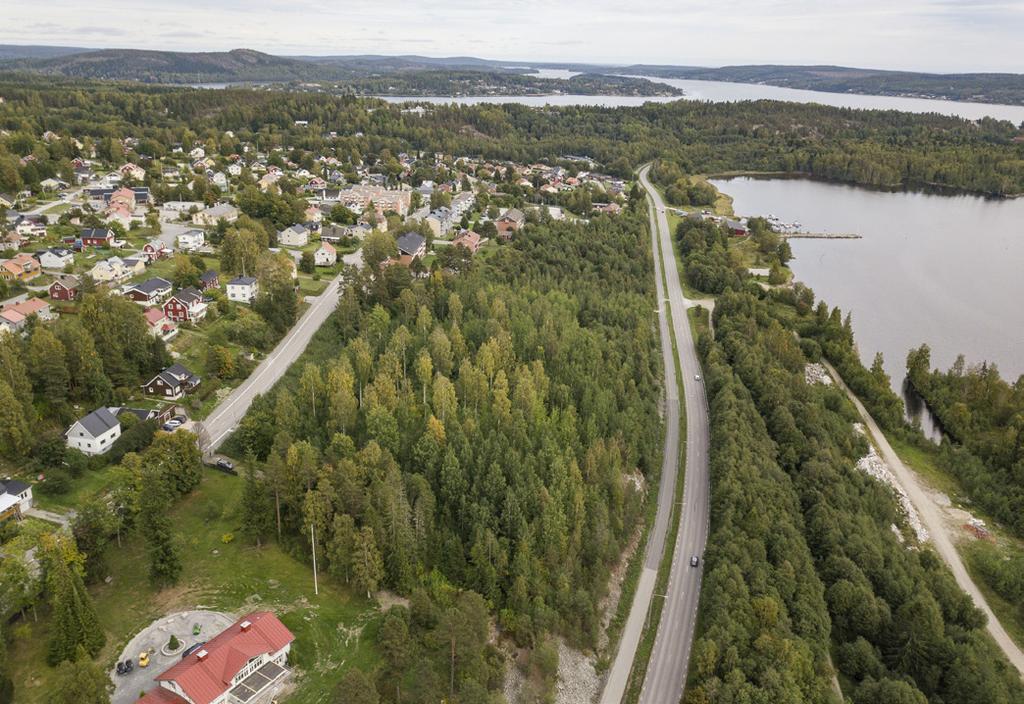 BJÖRKPLANTAGEN- reserverat för exploatör HÖGLANDSSTRAND I en idyllisk södersluttning i området Järved, 2,5 kilometer från Örnsköldsviks centrum, hittar du Björkplantagen.