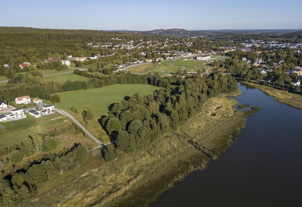 I området Björkplantagen finns en detaljplan för 50 lägenheter i 3-5-våningshus. Rödhakevägen vid Höglandsstrand är ett naturnära område med ett av Örnsköldsviks bästa sollägen.