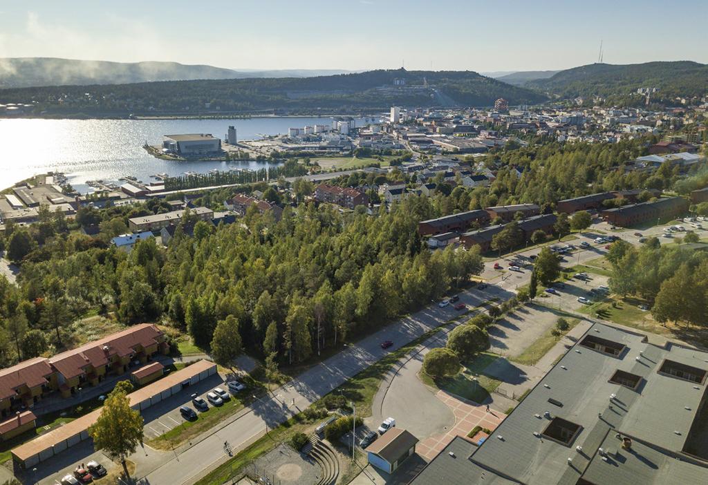 På andra sidan gatan finns såväl en förskola som en 1-9 skola, Sörlidenskolan. Järvhaga och Ålen ligger i ett naturskönt område med närhet till skog och strövområden i Sörlidenområdet.