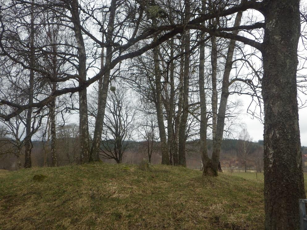 11 Område 4 0,16 ha Trädklädd betesmark Klass 3, påtagligt naturvärde Naturvärdesbedömning Området har ett påtagligt till högt biotopvärde knutet till den minskande naturtypen och till gamla lövträd.