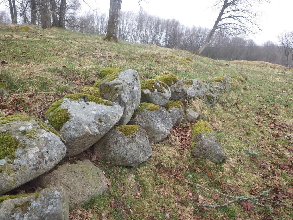 12 Område 5 1,0 ha Betesmark Klass 4, visst naturvärde Naturvärdesbedömning Området har ett visst biotopvärde knutet till den minskande naturtypen öppen betesmark.