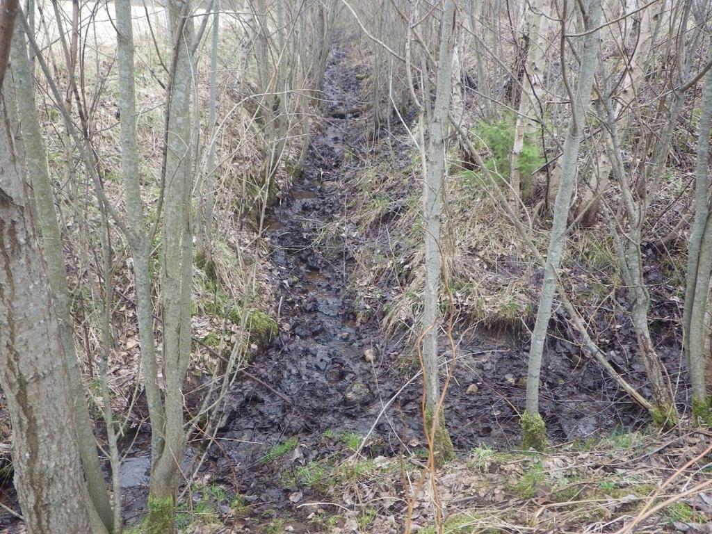 16 Område 9 0,18 ha Källkärr (7160) (diken) Klass 2, högt naturvärde Naturvärdesbedömning Området har ett påtagligt biotopvärde knutet till den sällsynta och särskilt i södra Sverige starkt hotade