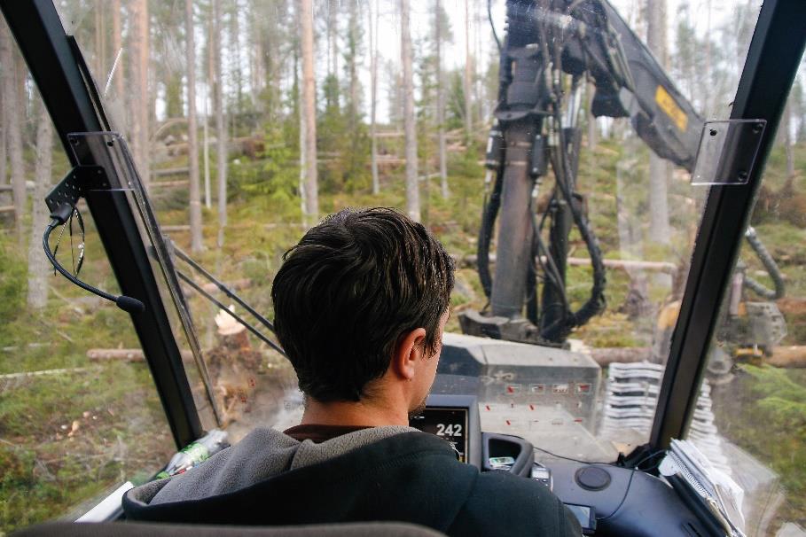 och ökad sysselsättning i skogsnäringen.