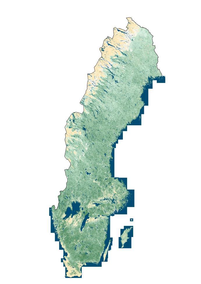 Skogliga skattningar från laserdata Produktion av