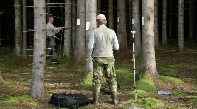 (Skogliga grunddata) Laserdata från Lantmäteriets