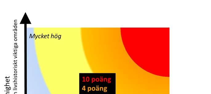 Figur 6. Schematisk figur över bedömning av kriteriet livshistoriskt viktigt.