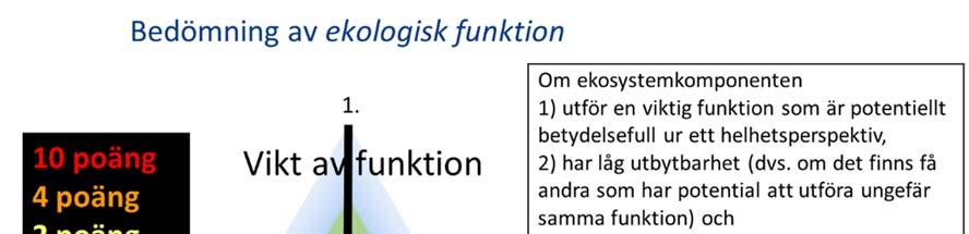 Figur 8. Schematisk figur över bedömning av kriteriet ekologisk funktion vilket bedömer hur potentiellt betydelsefull en ekosystemkomponent (EK) är ur ett helhetsperspektiv. Nedan ges tre exempel.