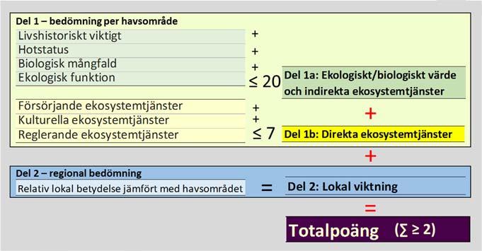 en invasiv främmande art 15 får Del 2 (regional bedömning om lokal viktning) aldrig sänka den direkta bedömningen till lägre än två poäng. Främmande arter kan inte få lägre än 0 poäng.