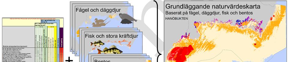 1. Framtagandet av den grundläggande naturvärdeskartan Genom att utgå från de fördefinierade ekosystemkomponenterna och deras bedömda naturvärdespoäng (framtagna i den grundläggande