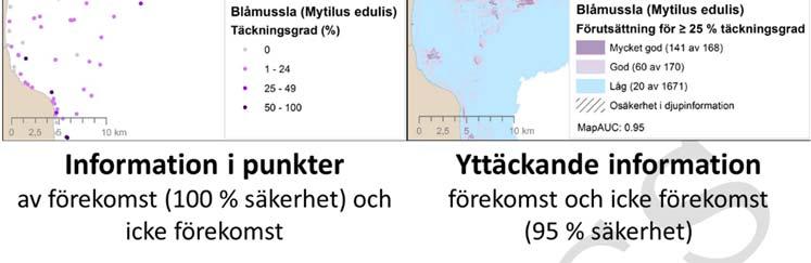 Kartan till höger visar en modellerad yttäckande karta över var det är mycket goda förutsättningar för blåmusselbäddar.