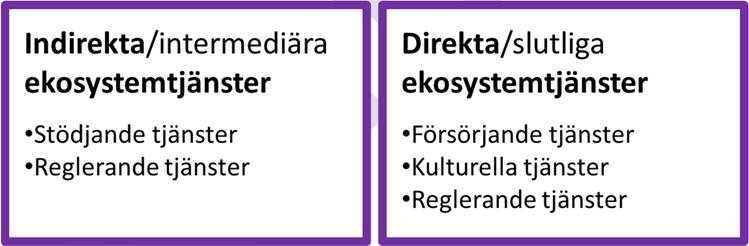 Havs- och vattenmyndighetens rapport 2017:XX fältet bedöms direkta EST vilket är försörjande, kulturella och flera reglerande EST.