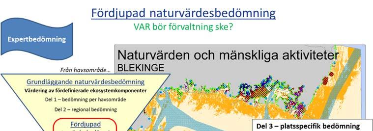 Havs- och vattenmyndighetens rapport 2017:XX Figur 9. Överblick över den fördjupade naturvärdesbedömningen i Mosaic för marin miljö.