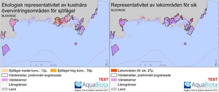 Havs- och vattenmyndighetens rapport 2017:XX Figur 15. Kartorna visar fyra olika ekosystemkomponenters utbredning i förhållande till värdekärnorna och de preliminärt avgränsade värdetrakterna.