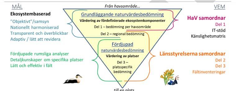 Mittersta delen av figuren visar vilka MÅL som den grundläggande vs.