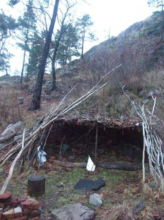 205 9 Barrskog, bergbrant Naturvärdesklass 1 Areal: 0,4 ha Beskrivning I en sydvänd rasbrant, inklämd mellan Finnbergets kala hjässa och höghus vid dess fot, finns högvuxna och ganska grova tallar i