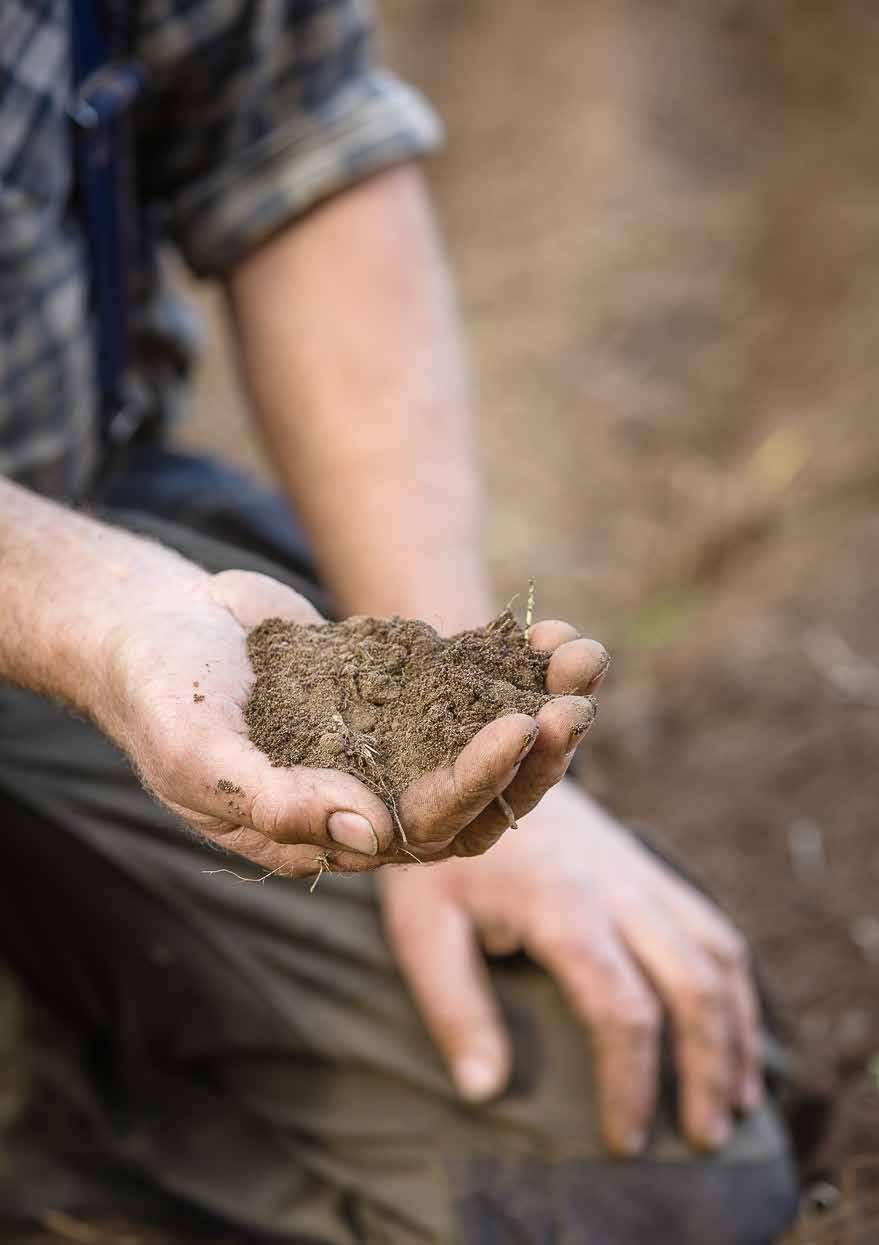 Jordens livsprocesser avgör också våra liv Under markytan finns landskapets verkliga biologiska mångfald.