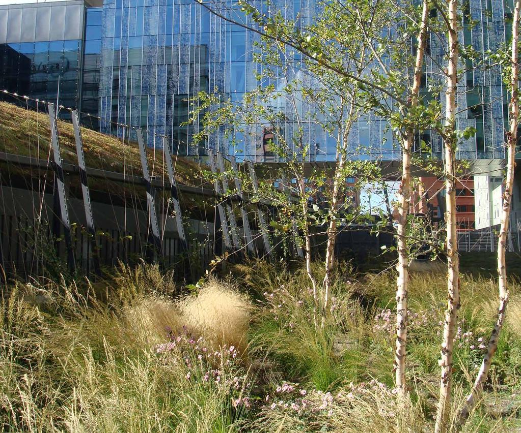 K7 Nyanlagd viktig natur utanför landskapssamband Anlagd grön- eller blåyta med tillskapta höga naturvärden som utgör viktig livsmiljö, men som ligger isolerat från landskapssamband.