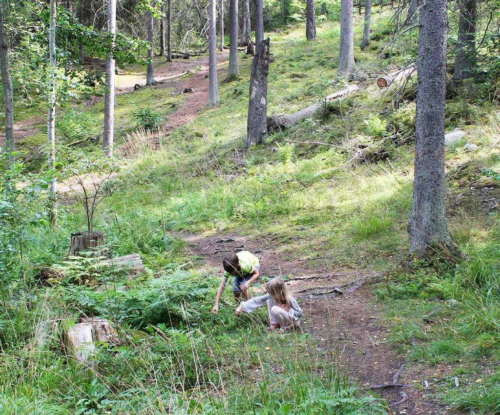 Ytan ska innehålla både lättillgängliga, mer ordnade delar och vilda, orörda partier.