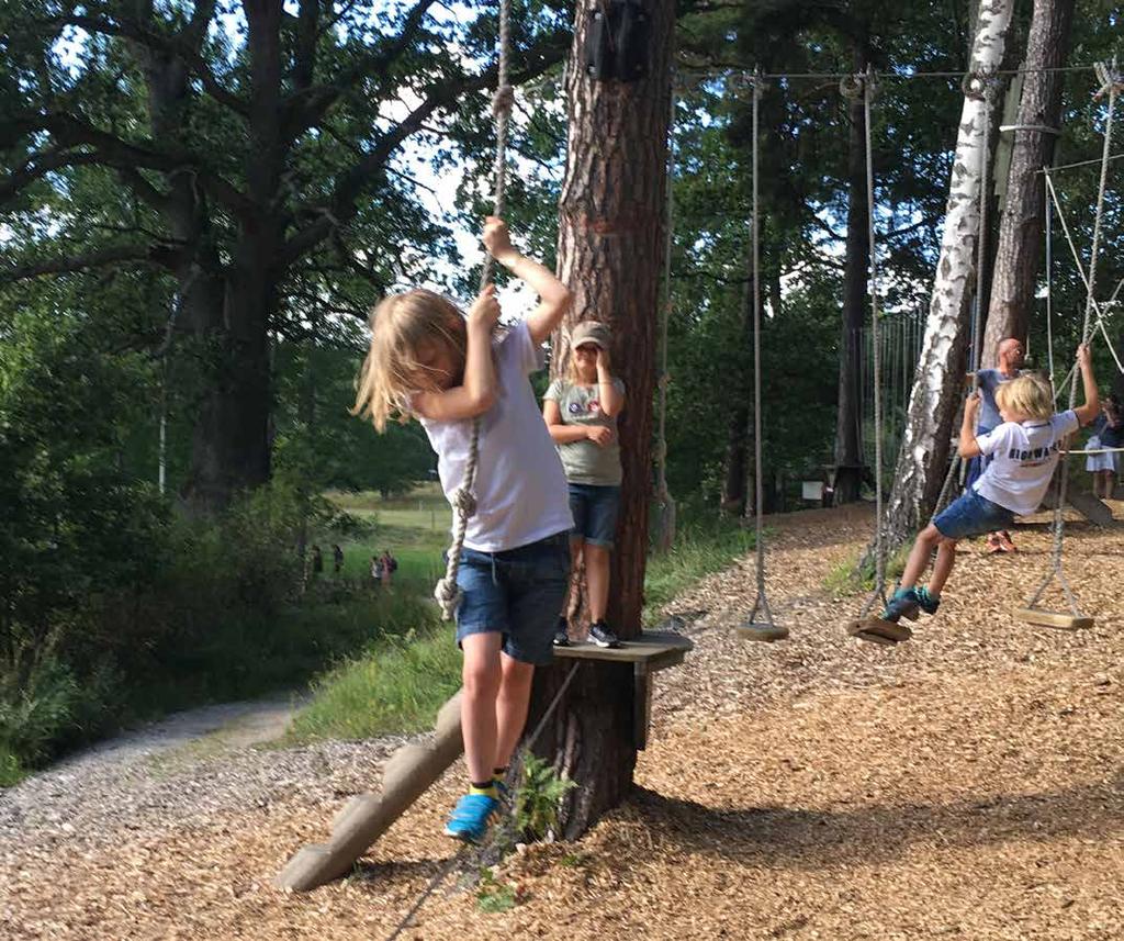 Ryms flera aktiviteter inom en yta får dessa räknas förutsatt att aktiviteterna inte stör eller motverkar varandra. Ytor med konstgräs och gummiytor får inte räknas.