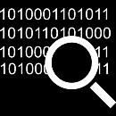 Analys och visualisering av data för ledningen