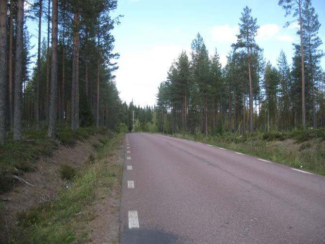 bedöms vara hotade. Allmänhetens tillgång till strandområdet påverkas främst genom att vägen får barriäreffekter för den som vill vandra längs vattendragen.