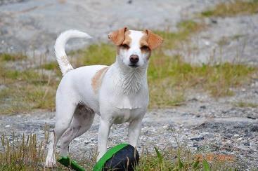 SE15749/2010 blev Wennhof s Frida