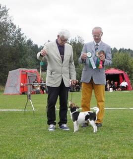 agility på Sofiero Incalines Aslan