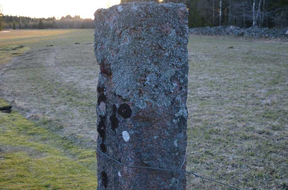 Jakt Jakten tillfaller köparen. Älgjakten ingår i Höreda älgjaktlag och omfattar ca 2 000 ha, tilldelningen har varit 2 vuxna och 2 kalvar de senaste åren.