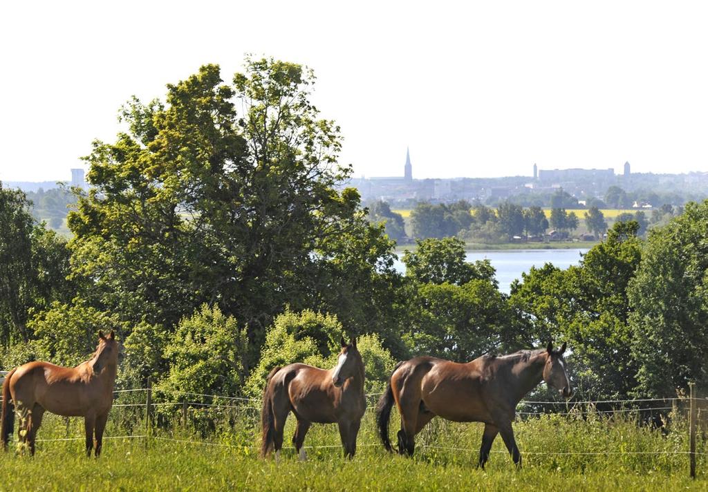 I kommunen finns det över 2 800 fritidsfastigheter varav de flesta ligger på landsbygden och i natursköna lägen.