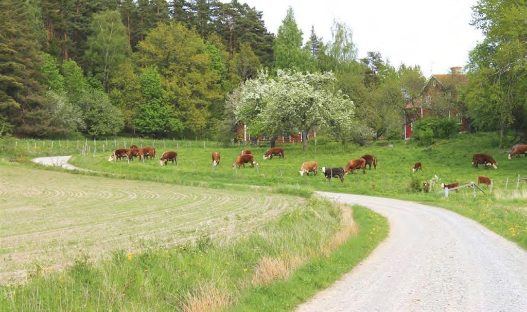 boende. Likaså ska hänsynstagande till ny modern teknik, forskning och nya rön vad gäller t ex lokalt kretsloppstänkande göras.
