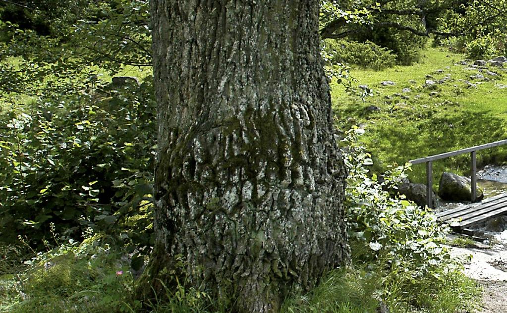 Del 1 Bakgrund Om Linköpings kommun ekar, slätt och kanaler Markanvändning 2015, Linköpings kommun Procent av total landareal Linköping är en av tretton kommuner i Östergötlands län,
