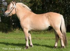 Alexander Lukas 183 Annelie af Ekenstam, Vimmerby Tel: 0492-72052, 073-8472052 Gotlands