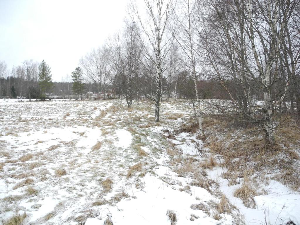 5 Bild 3. Området är i dag utarrenderat som jordbruksmark. 3. Planeringssituation 3.