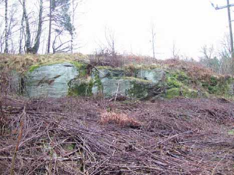 DETALJPLAN FÖR DEL AV MÖLNLYCKE 1:1 M FL 49 Figur 9-4. Bergslänt i område 2 