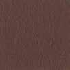 Marron Mörkbrun ark brown unkelbraun Marron foncé