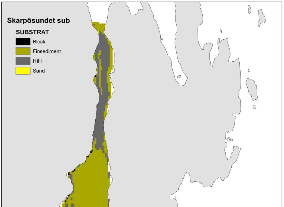 Yttre bassängen Mellersta bassängen Inre bassängen SV viken SÖ viken Figur 11. Dominerande bottentyp i Skarpösundet.