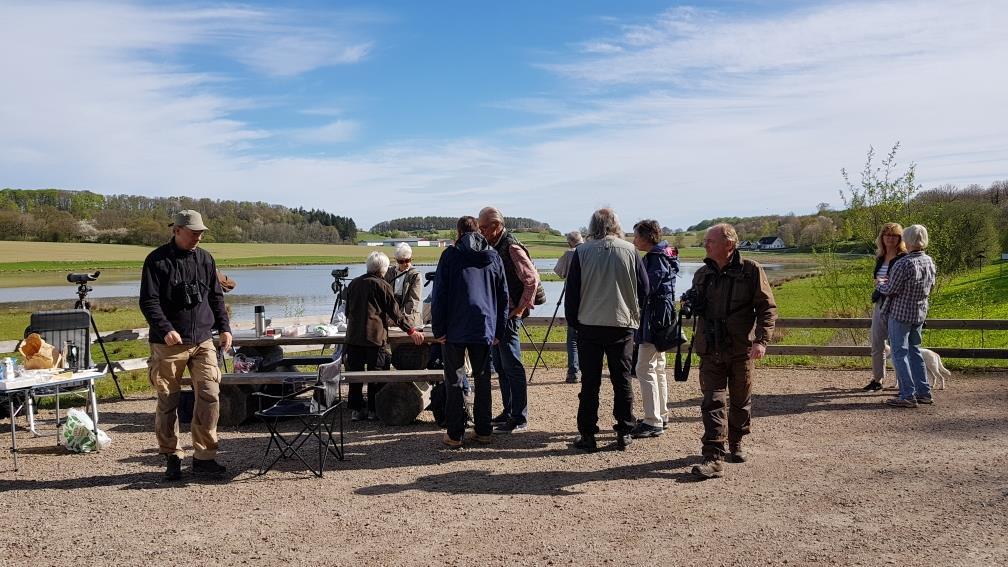 Backgården, Västmanland Kanonväder med roliga obsar. Missade målet att slå 68 arter från tidigare år. Tunga dippar på rödhake och Taltrast.