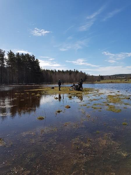 Nervositeten steg med den ständigt stigande vattennivån, skulle vi kunna ta oss hem? Dagen avslutades med en spännande stor falk.