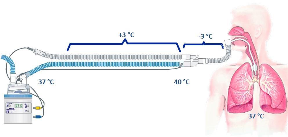 av värmeslingor i inspirationsslangen för att kompensera för värmeförlust i y-stycke, flexslang och endotrakealtub (se bild nedan). Sensorkabeln består av två olika typer av sensorer.