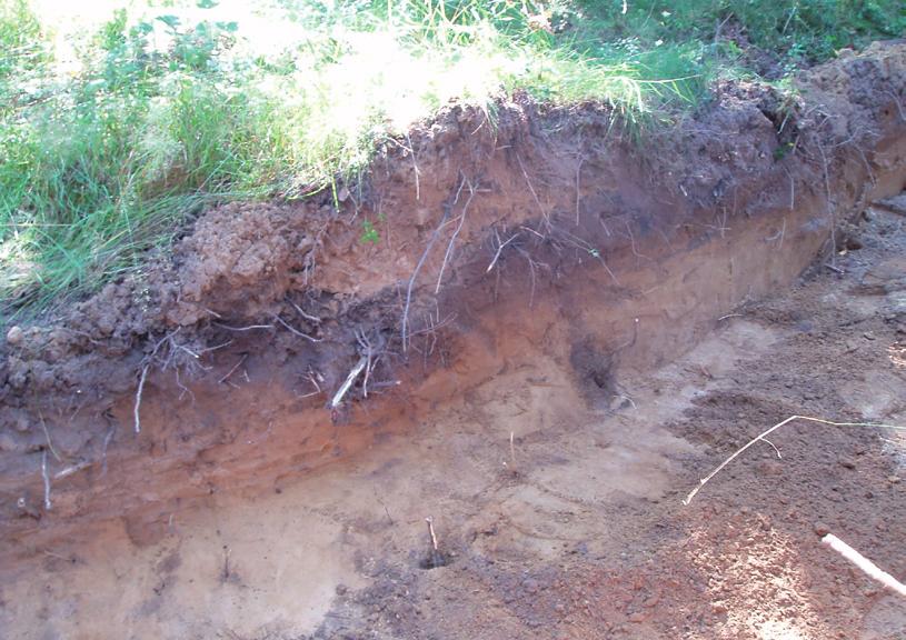 6 ARKEOLOGISK RAPPORT 2009:74 Resultat Utredningen Stora delar av utredningsområdet föll bort på grund av tidigare ingrepp i marken och ett stort antal kablar som löper genom området.