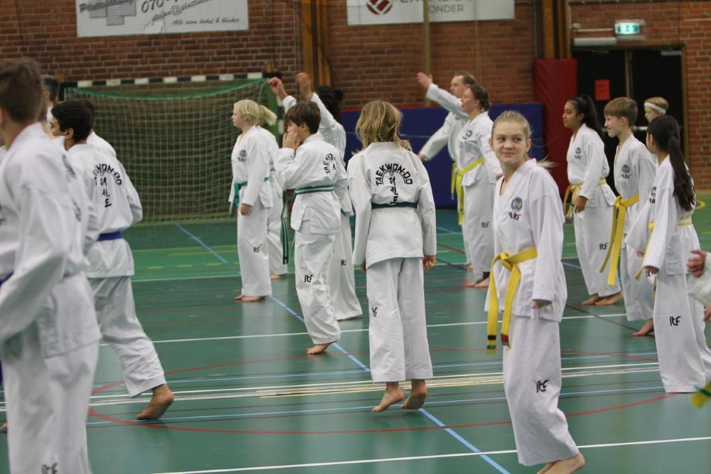 TILLSAMMANS UTVECKLAR VI SVENSK TAEKWONDO MÅLBILD år 2025 Alla inom svensk Taekwondo är delaktiga och samarbetar för gemensamma mål med idrottaren