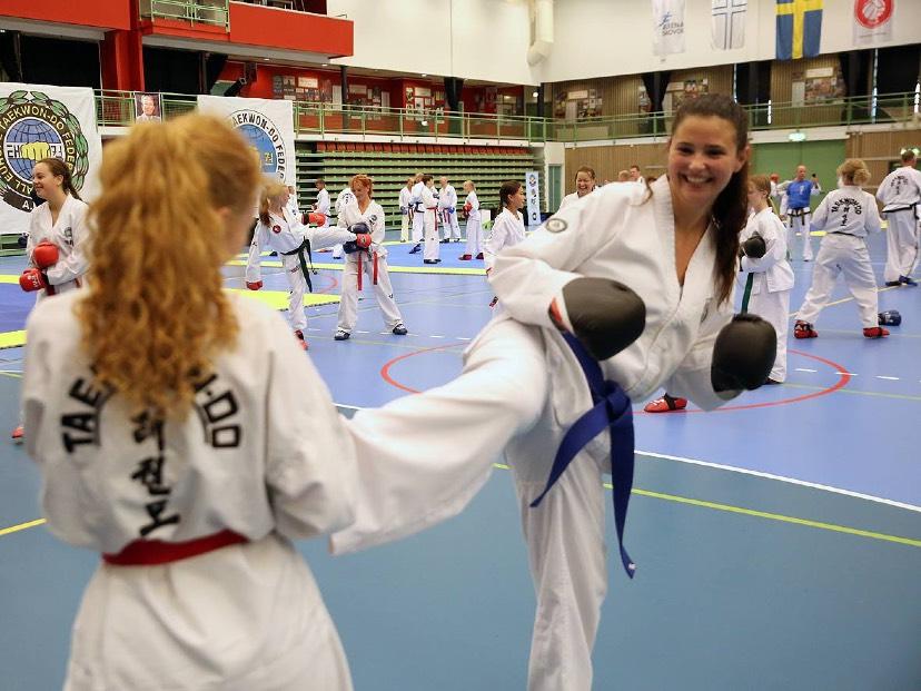 TAEKWONDO OCH SAMHÄLLET MÅLBILD år 2025 Svensk Taekwondo harmonierar med utvecklingen i samhället och har en attraktiv verksamhet.