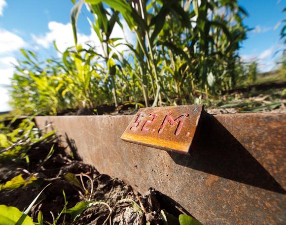 AGRONOM MARK & VÄXT Studieort: Uppsala Examen: Agronomexamen Studieår: 5 Anmälan: Senast 15 april Start: Hösten 2019 Urval: Betyg och högskoleprov Ämnen: Ekologi, cellbiologi, växtodling, vattenvård,