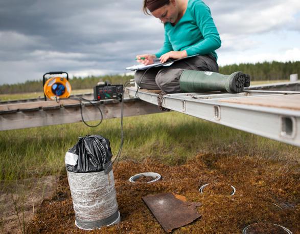 BIOLOGI OCH MILJÖVETENSKAP Studieort: Uppsala Examen: Kandidatexamen Studieår: 3 Anmälan: Senast 15 april Start: Hösten 2019 Urval: Betyg och högskoleprov Ämnen: Biologi, ekologi, miljörätt,